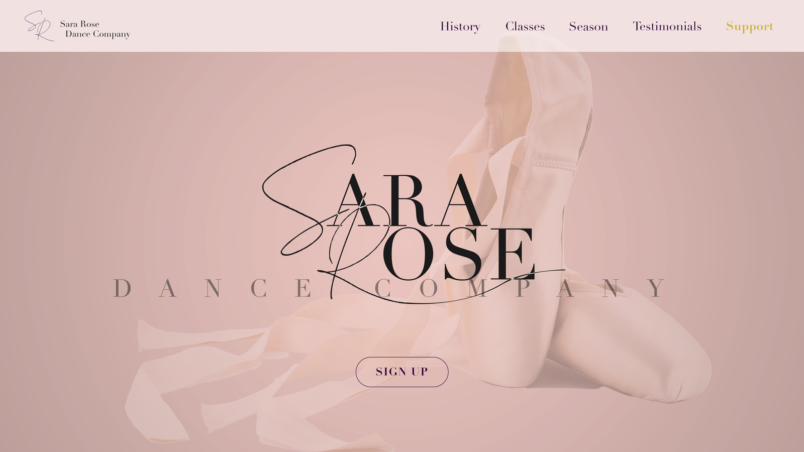 Dance Collective Webpage copy