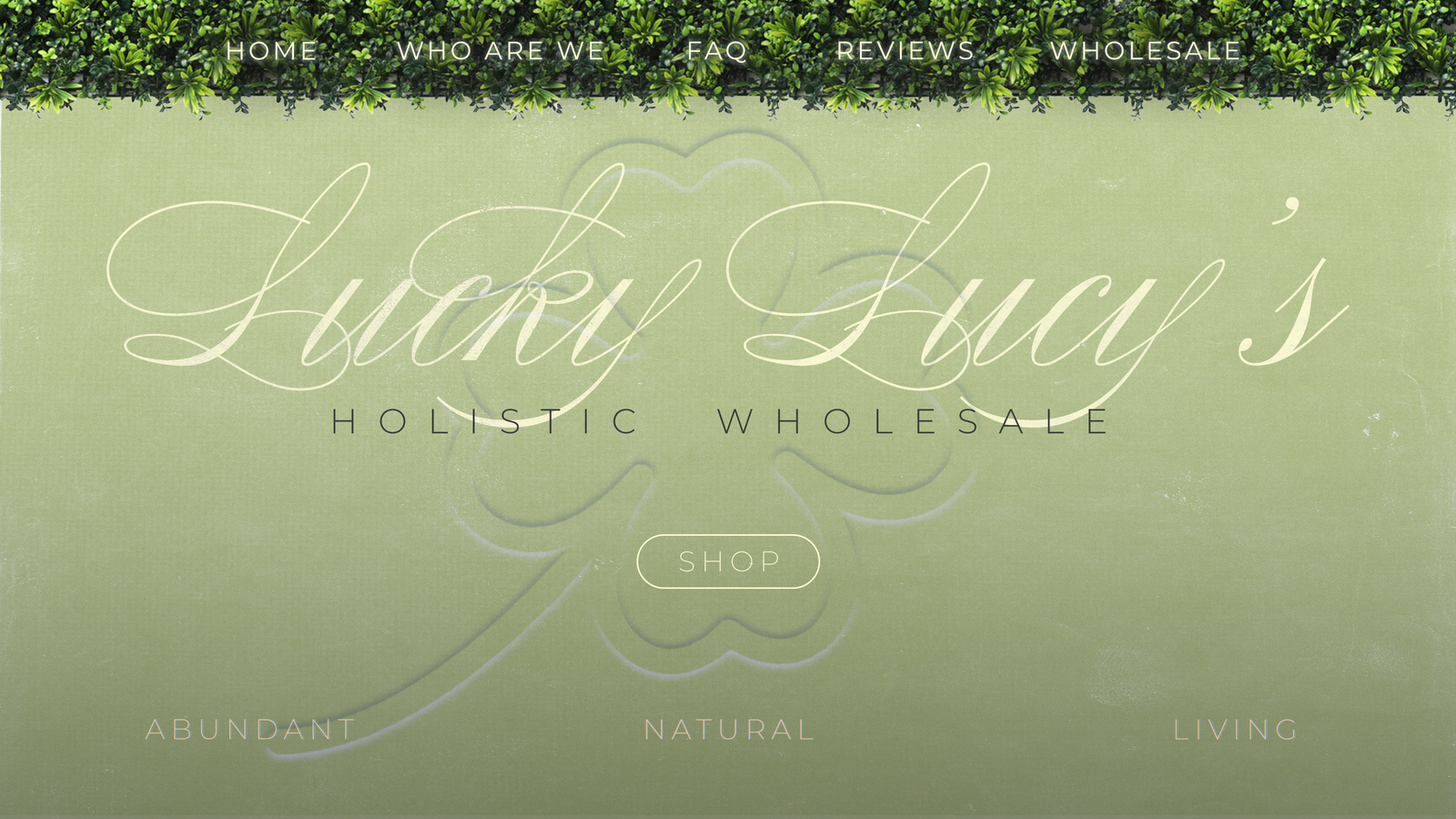 Lucky Lucy's Holistic Wholesale copy